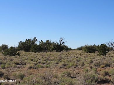 2150 Red Butte Rd, Williams, AZ 86046 - photo 7