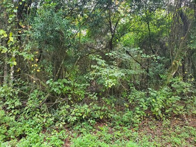 0 Choctaw Rd unit 392886, Crawfordville, FL 32327 - photo 4