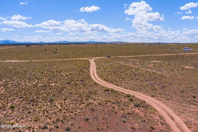 1883 E Vernon Rd, Williams, AZ 86046 - photo 7