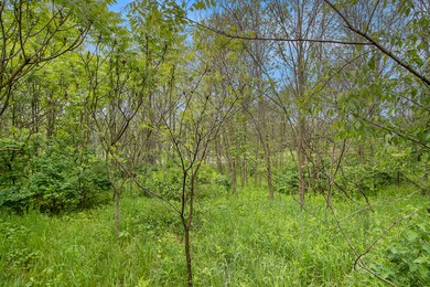 006_eightway_1_246