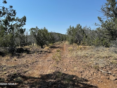 024 Parcel 205-20-024 Pineveta Rd, Ash Fork, AZ 86320 - photo 6
