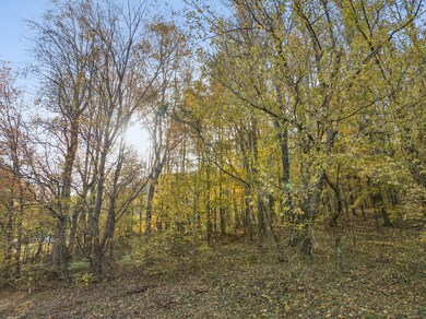 0 Cookeville Hwy unit RTC3043811, Elmwood, TN 38560 - photo 6