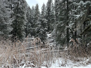 Heavily wooded