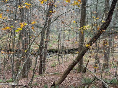 LOT10 Benton Hill Rd, Becket, MA 01223 - photo 5
