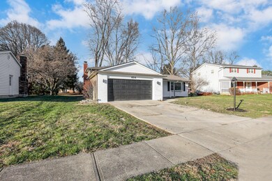 5-web-or-mls-BS5A8639