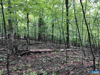 280 Foothills Dr, Nellysford, VA 22958 - photo 2