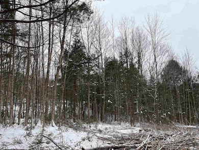 0 Fall Brook Rd unit 5071480, Lyndon, VT 05851 - photo 4