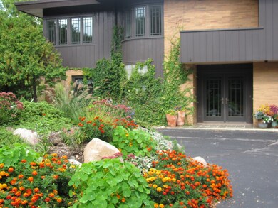 Front burm in full bloom