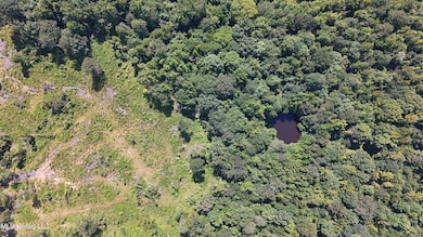 DJI_20250703154750_0845_D