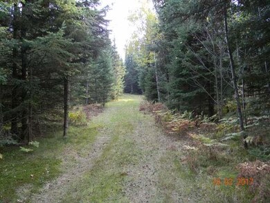 ON Tappa Rd, Deerbrook, WI 54424 - photo 6