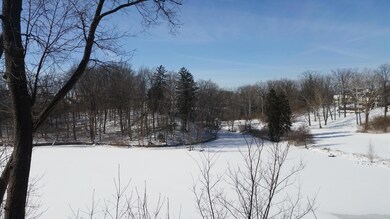 Winter view