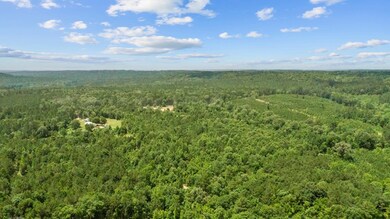 0 Cr 1101 unit 65882, Rusk, TX 75701 - photo 7