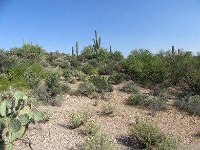 Looking North on the lot