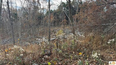 0 Gaddie Cottrell unit SC47484, Bonnieville, KY 42713 - photo 4