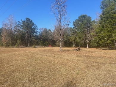 4.36 Acre Lot U S 80, Shorter, AL 36075 - photo 2