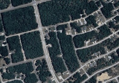 8753 N Zurich Way, Citrus Springs, FL 34434 - photo 2