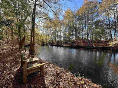 TBD Terry Rd, Andrews, SC 29510 - photo 4