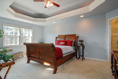 4764 Snapjack Cir, Naperville, IL 60564 - photo 3