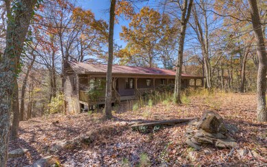 599 Pettit Ridge Rd, Ellijay, GA 30536 - photo 3
