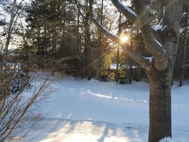 0360 beautiful yard