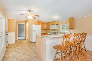 1061 E Lincoln St, Bitely, MI 49309 - photo 6