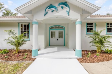 3033 Turnbull Bay Rd, New Smyrna Beach, FL 32168 - photo 3