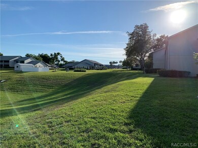 810 E Gilchrist Ct unit 3A, Hernando, FL 34442 - photo 2