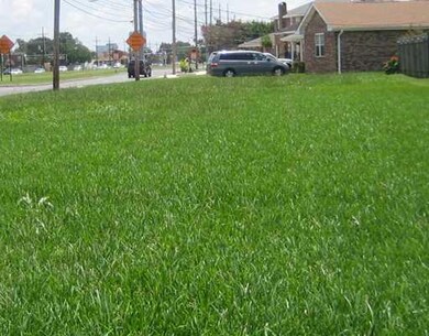 Land/Lot. Close to E. Jeffeson medical complexes!
