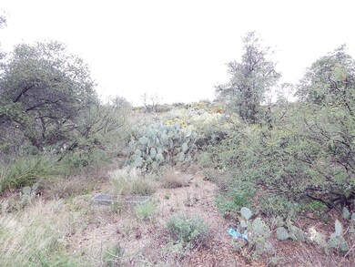 DSCN7404