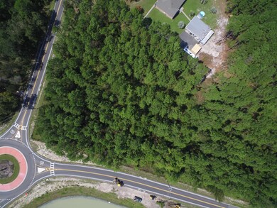 Lot 3 & 4 E Ivan Rd, Crawfordville, FL 32327 - photo 5