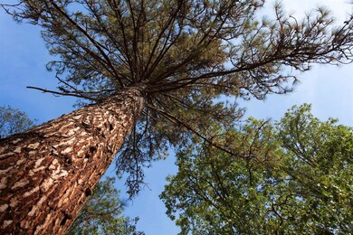 1799 Hamilton Ln, Grants Pass, OR 97527 - photo 7