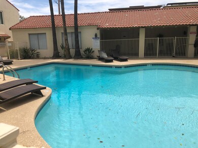 dora condo 2 (4)