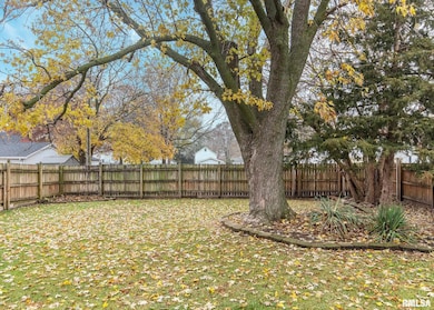 213 N Williams St, Geneseo, IL 61254 - photo 6