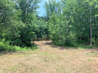 TBD Sokokis Trail, Limerick, ME 04048 - photo 4