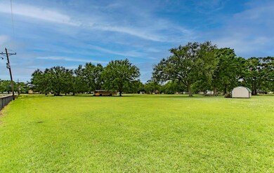 Backyard 1