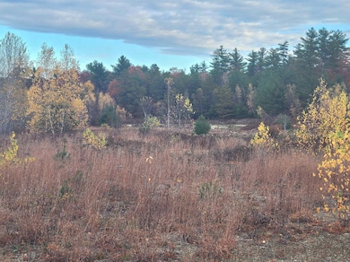 32 Monticello Dr, Andover, NH 03216 - photo 4