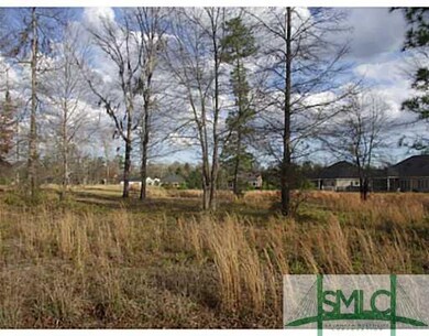 Land/Lot. This photo was taken from the rear of th