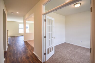 Open Layout