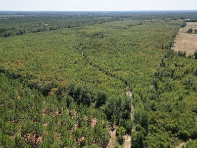 0 Black Rd unit 24725300, Marianna, FL 32446 - photo 2