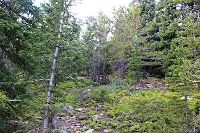 00 Fs-411 1, Black Hawk, CO 80422 - photo 5