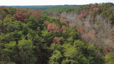 Tract 30 Gillespie Rd SE, Fairmount, GA 30139 - photo 2