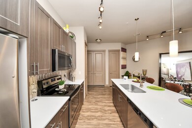 5454 Washington Ave unit 1408, Houston, TX 77007 - photo 6