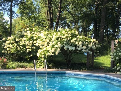 5385 Ridgeview Dr, Doylestown, PA 18902 - photo 3