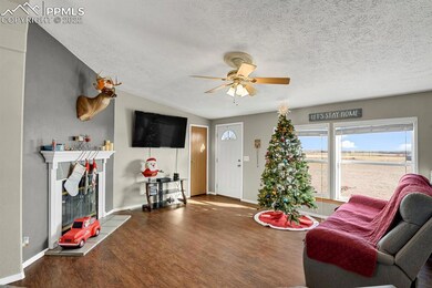 22365 Mcdaniels Rd, Calhan, CO 80808 - photo 5