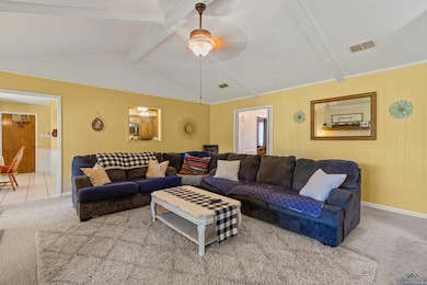 Carpeted living area with a ceiling fan