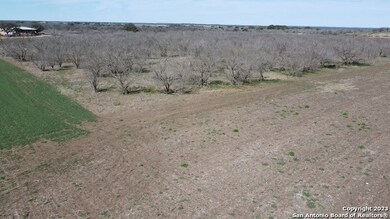 000 County Road 451, Hondo, TX 78861 - photo 5