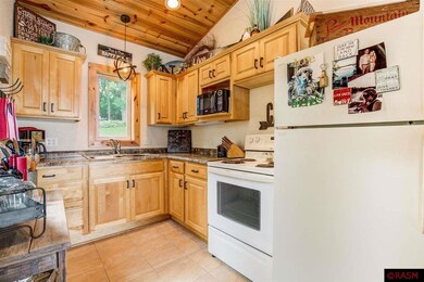 16640 16640 Shady Oak Ln, Waterville, MN 56096 - photo 3