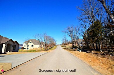 Lot 104 Summer Rd, Ruth B Rural Township, MO 65686 - photo 7