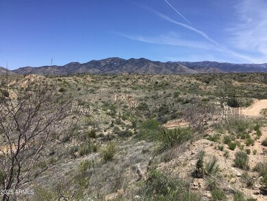 IMG_3134