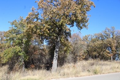 450 Rolling Hills Blvd, Alvord, TX 76225 - photo 7